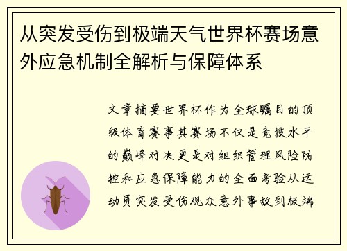 从突发受伤到极端天气世界杯赛场意外应急机制全解析与保障体系